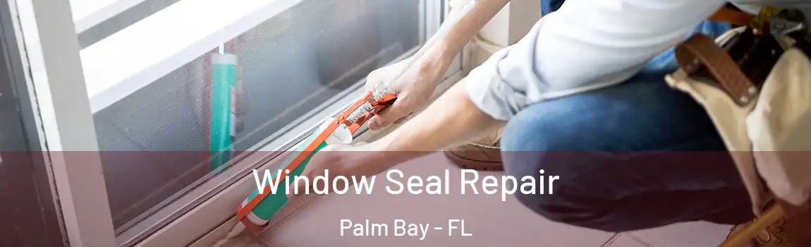  Window Seal Repair Palm Bay - FL